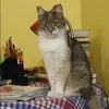 Отзыв от Кристина Дорофеева